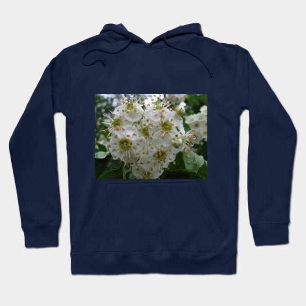 Beautiful flowers after rain Hoodie by Zimart